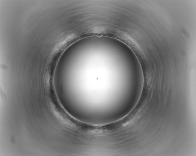 X0000091170542200708091206