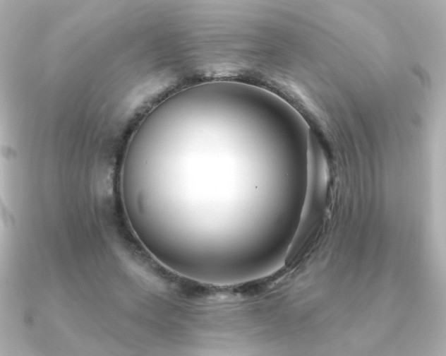 X0000091170543200708091206