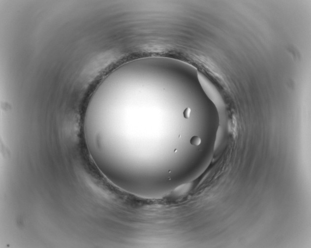 X0000091170544200708091206