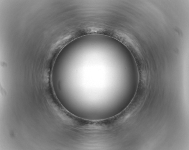 X0000091170545200708091206