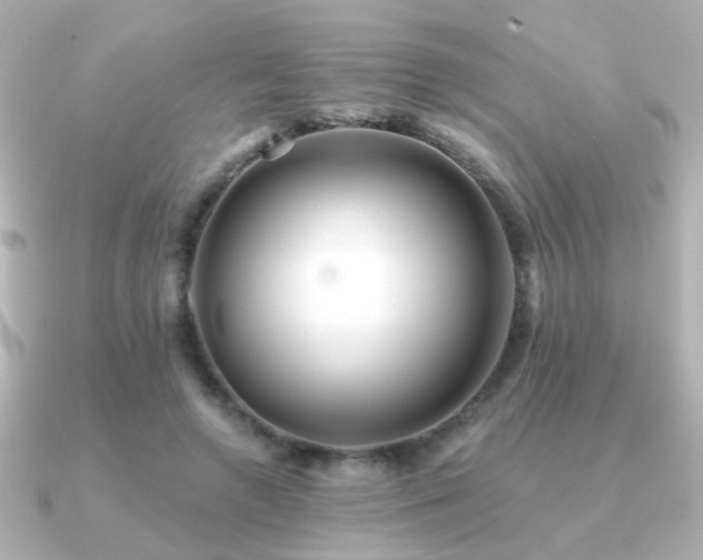 X0000091170546200708091206