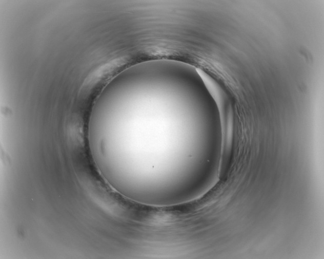 X0000091170547200708091206