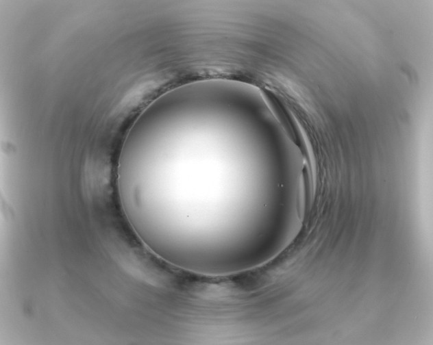 X0000091170548200708091206