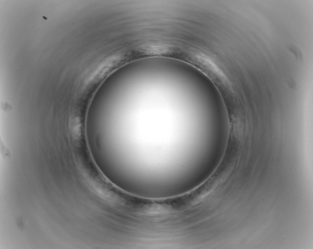 X0000091170549200708091206