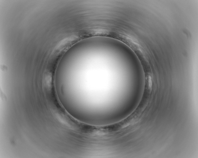 X0000091170550200708091206