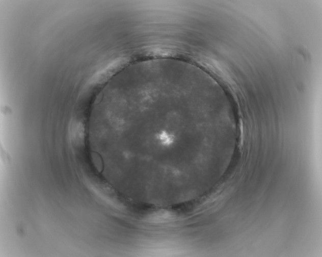 X0000091170551200708091206