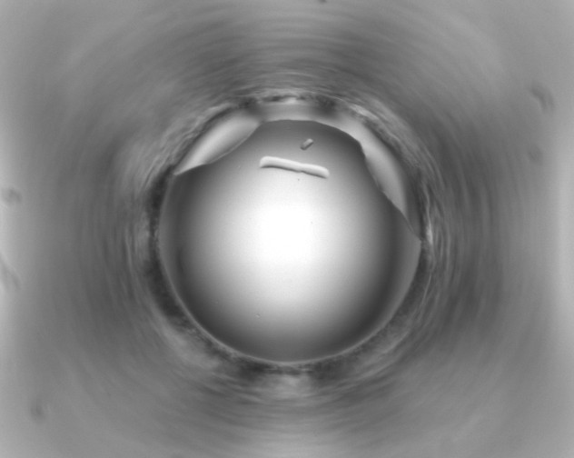 X0000091170552200708091206