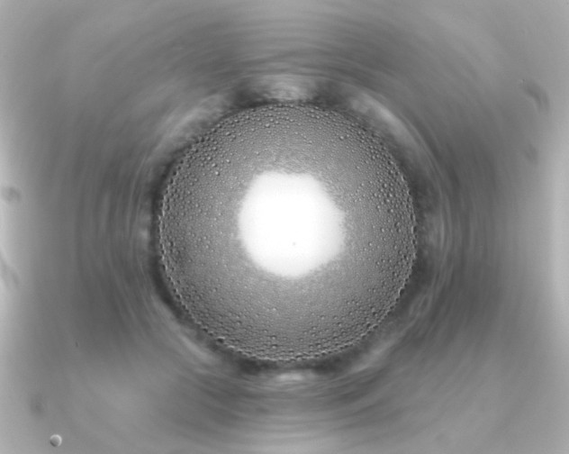 X0000091170553200708091206