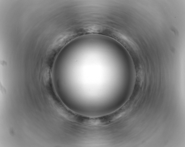 X0000091170554200708091206