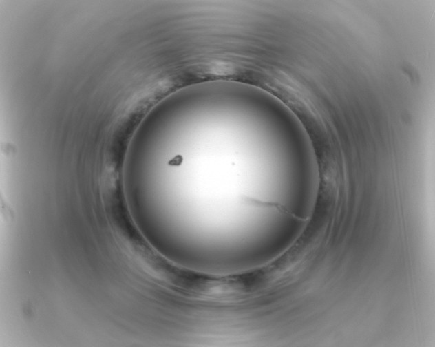 X0000091170555200708091206