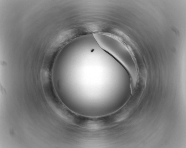 X0000091170556200708091206