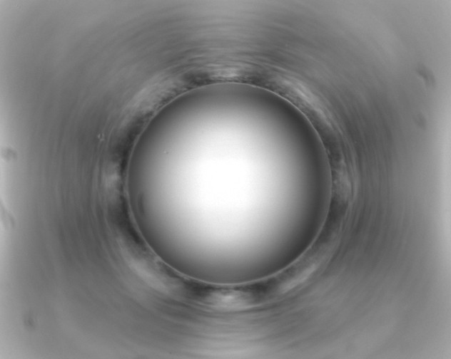 X0000091170557200708091206
