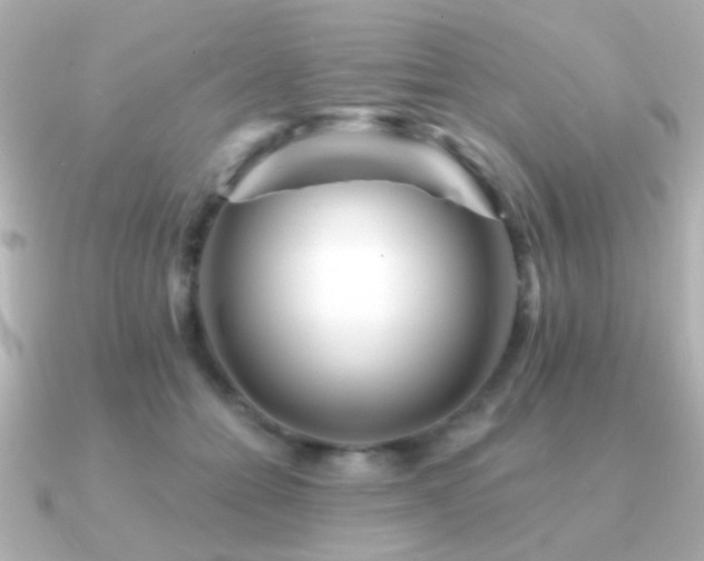 X0000091170558200708091206