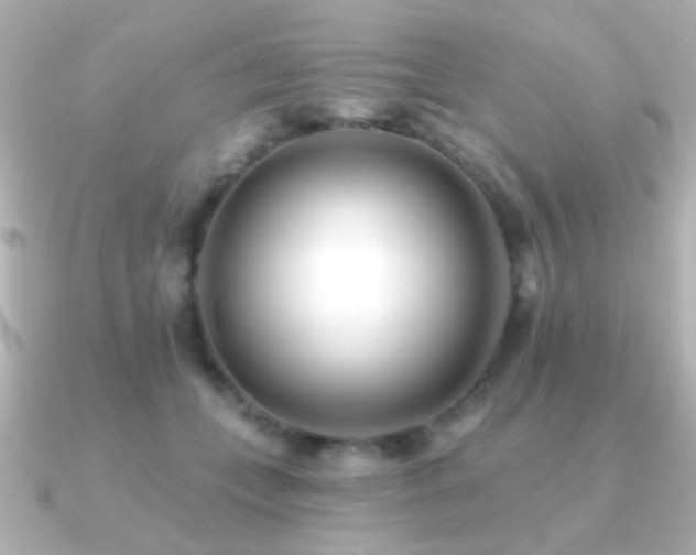 X0000091170559200708091206