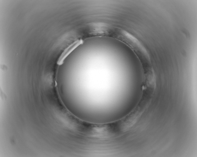 X0000091170560200708091206