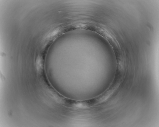 X0000091170561200708091206