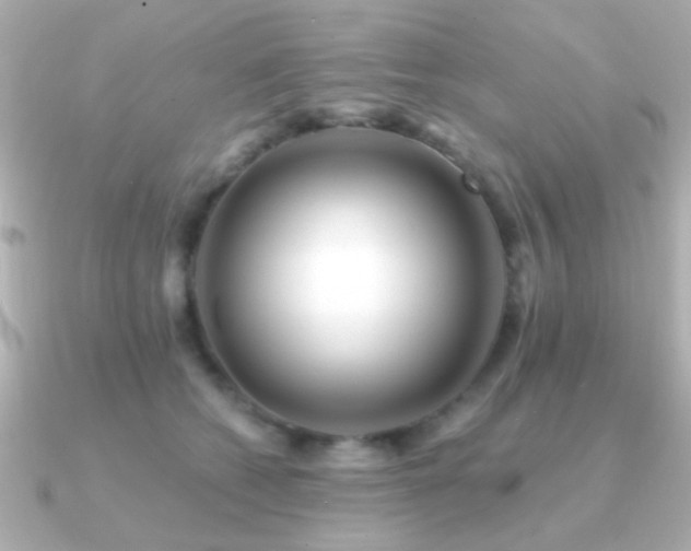 X0000091170562200708091206