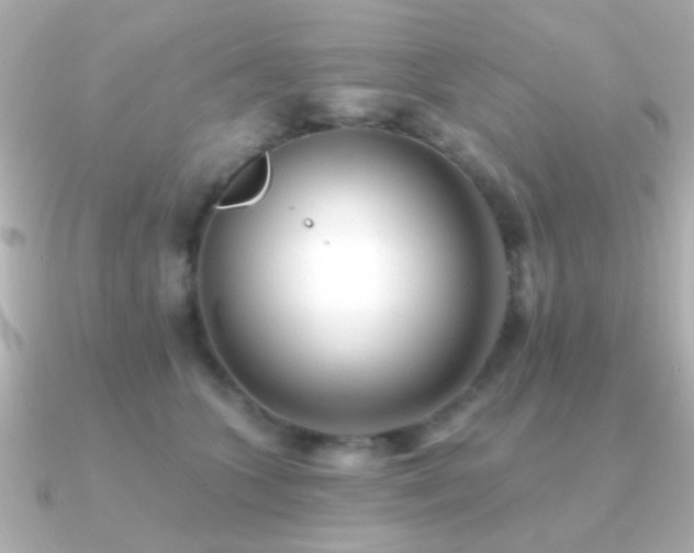 X0000091170563200708091206