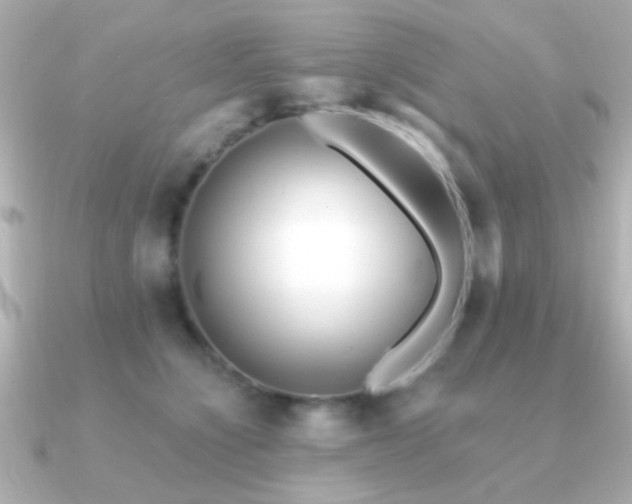 X0000091170564200708091206