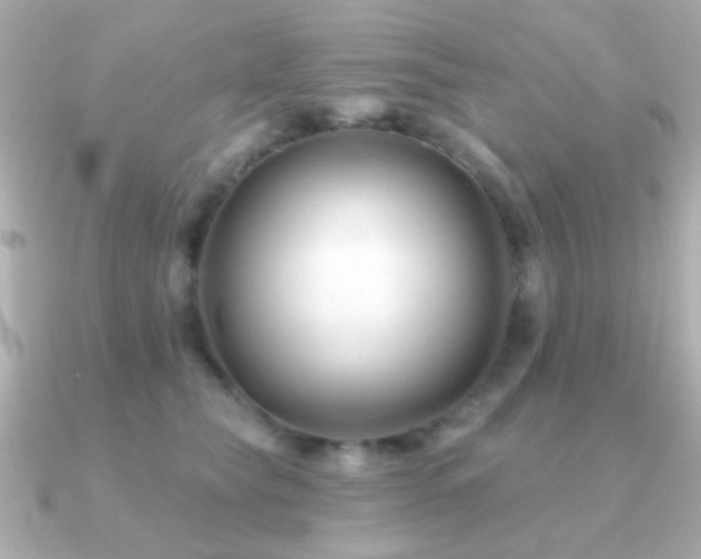 X0000091170565200708091206