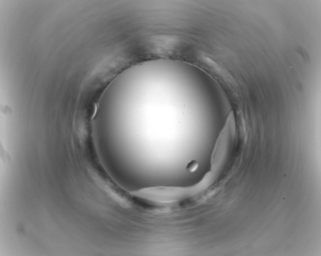 X0000091170566200708091206