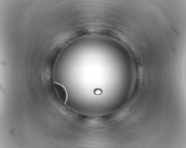 X0000091170567200708091206
