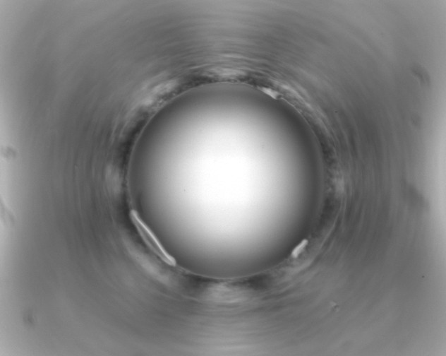 X0000091170568200708091206