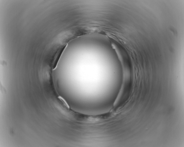 X0000091170570200708091206