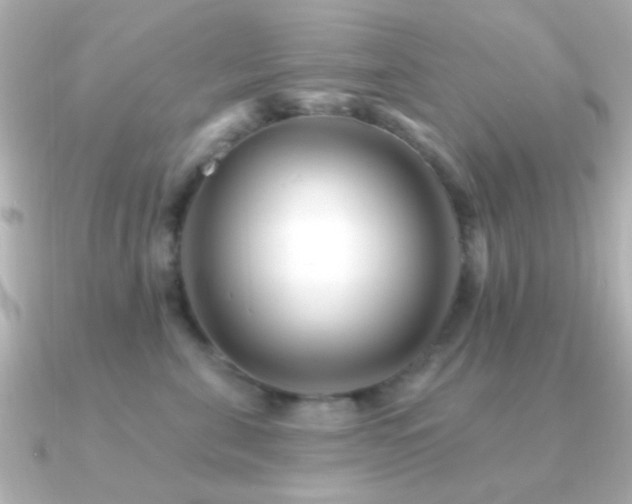 X0000091170571200708091206