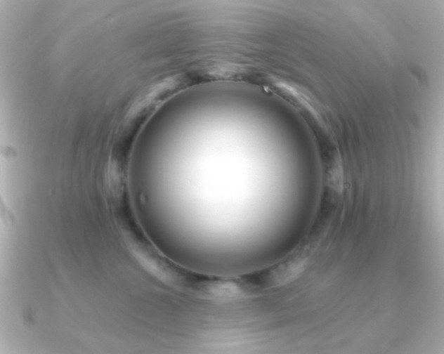 X0000091170572200708091206