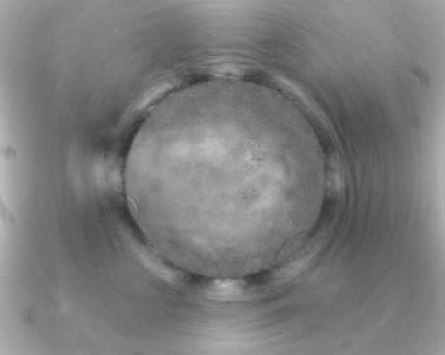 X0000091170573200708091206