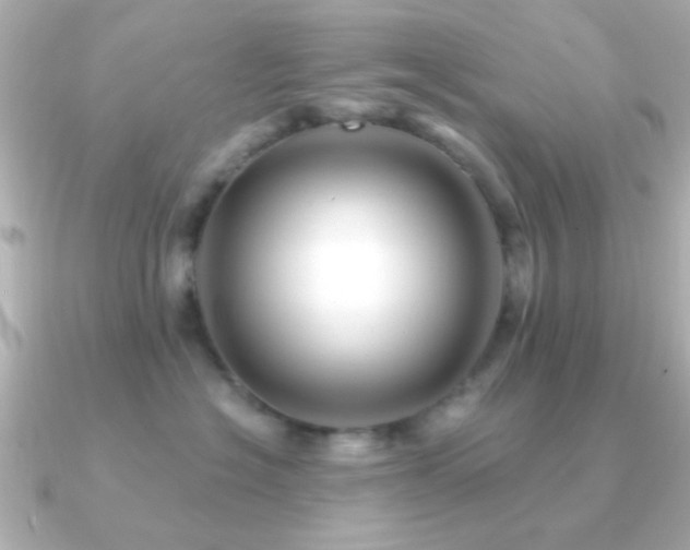 X0000091170574200708091206