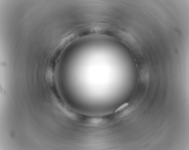 X0000091170575200708091206