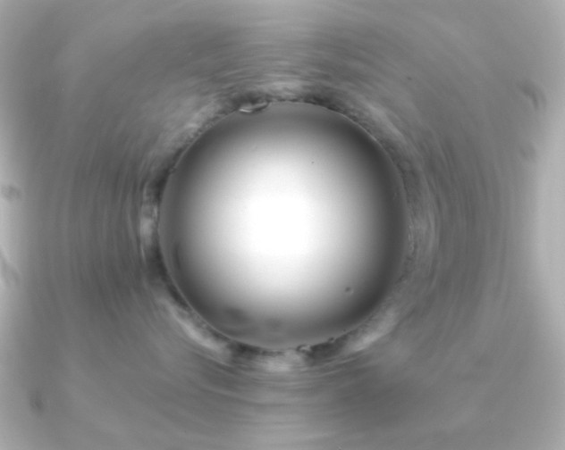 X0000091170576200708091206