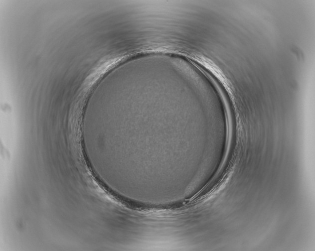X0000091170577200708091206