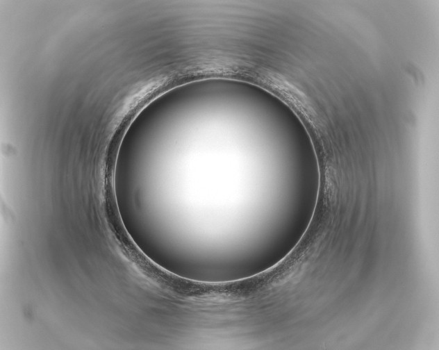 X0000091170578200708091206