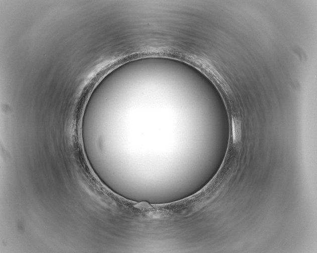 X0000091170579200708091206