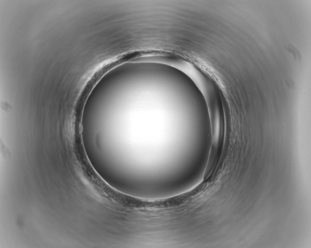 X0000091170580200708091206