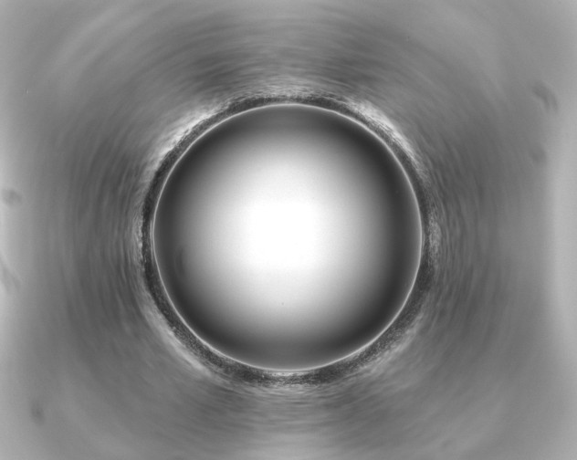 X0000091170581200708091206