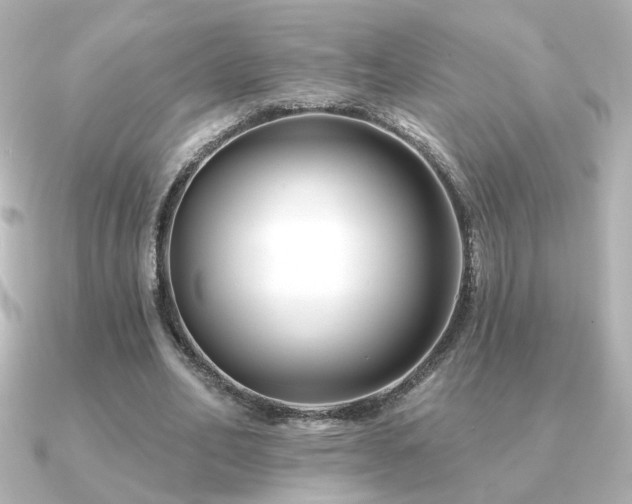 X0000091170582200708091206