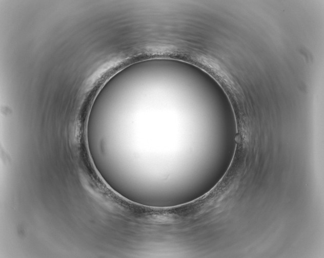 X0000091170583200708091206