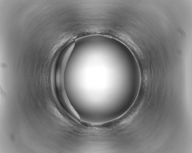 X0000091170585200708091206