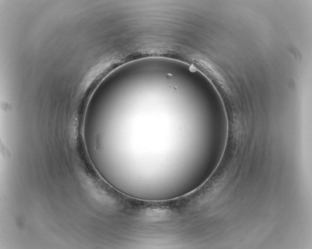 X0000091170586200708091206