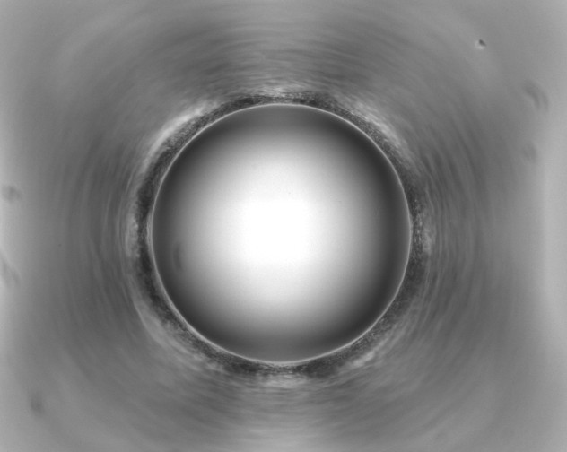 X0000091170587200708091206