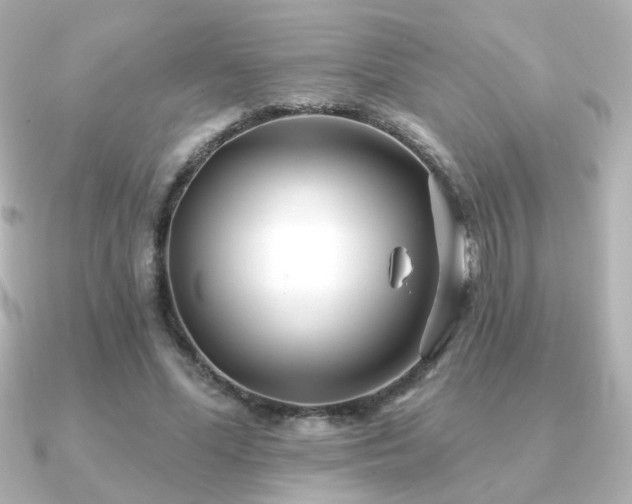 X0000091170588200708091206