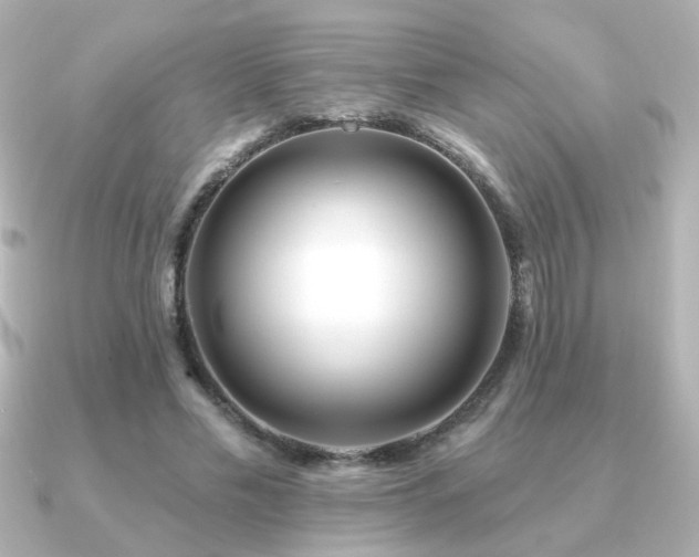 X0000091170589200708091206