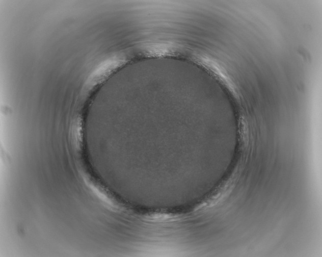X0000091170590200708091206