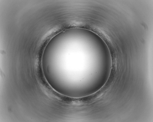 X0000091170591200708091206