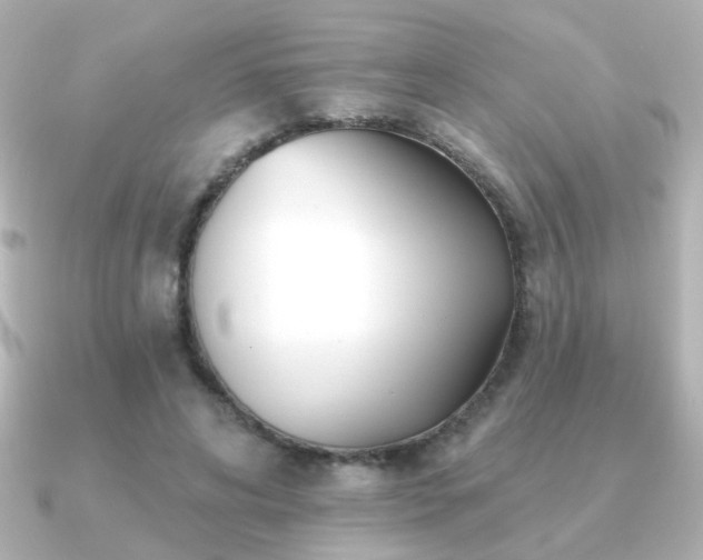 X0000091170592200708091206