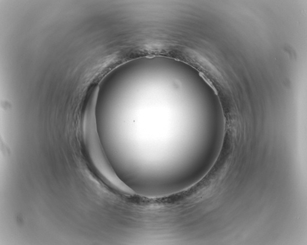 X0000091170593200708091206